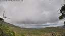 ./images/calvert/fitz-hugh-hecate/20260929/fitz-hugh-hecate20260929_133501M.jpg