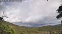 ./images/calvert/fitz-hugh-hecate/20260929/fitz-hugh-hecate20260929_134001M.jpg