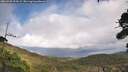 ./images/calvert/fitz-hugh-hecate/20260929/fitz-hugh-hecate20260929_134501M.jpg