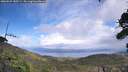 ./images/calvert/fitz-hugh-hecate/20260929/fitz-hugh-hecate20260929_140501M.jpg