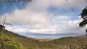 ./images/calvert/fitz-hugh-hecate/20260929/fitz-hugh-hecate20260929_141501M.jpg