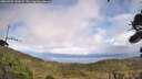 ./images/calvert/fitz-hugh-hecate/20260929/fitz-hugh-hecate20260929_142002M.jpg