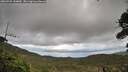 ./images/calvert/fitz-hugh-hecate/20260929/fitz-hugh-hecate20260929_144002M.jpg