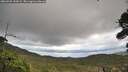 ./images/calvert/fitz-hugh-hecate/20260929/fitz-hugh-hecate20260929_144502M.jpg
