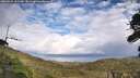 ./images/calvert/fitz-hugh-hecate/20260929/fitz-hugh-hecate20260929_152501M.jpg