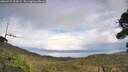 ./images/calvert/fitz-hugh-hecate/20260929/fitz-hugh-hecate20260929_153001M.jpg
