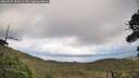 ./images/calvert/fitz-hugh-hecate/20260929/fitz-hugh-hecate20260929_154502M.jpg