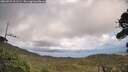./images/calvert/fitz-hugh-hecate/20260929/fitz-hugh-hecate20260929_161501M.jpg