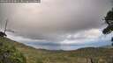 ./images/calvert/fitz-hugh-hecate/20260929/fitz-hugh-hecate20260929_164001M.jpg