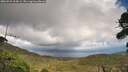 ./images/calvert/fitz-hugh-hecate/20260929/fitz-hugh-hecate20260929_164502M.jpg