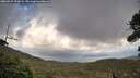./images/calvert/fitz-hugh-hecate/20260929/fitz-hugh-hecate20260929_170002M.jpg