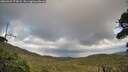 ./images/calvert/fitz-hugh-hecate/20260929/fitz-hugh-hecate20260929_172002M.jpg
