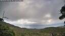 ./images/calvert/fitz-hugh-hecate/20260929/fitz-hugh-hecate20260929_173501M.jpg