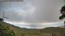 ./images/calvert/fitz-hugh-hecate/20260929/fitz-hugh-hecate20260929_174501M.jpg