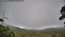 ./images/calvert/fitz-hugh-hecate/20260929/fitz-hugh-hecate20260929_180501M.jpg