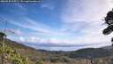./images/calvert/fitz-hugh-hecate/20260930/fitz-hugh-hecate20260930_105502M.jpg