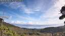 ./images/calvert/fitz-hugh-hecate/20260930/fitz-hugh-hecate20260930_110001M.jpg