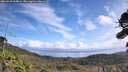 ./images/calvert/fitz-hugh-hecate/20260930/fitz-hugh-hecate20260930_114001M.jpg
