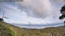 ./images/calvert/fitz-hugh-hecate/20260930/fitz-hugh-hecate20260930_153501M.jpg