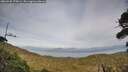./images/calvert/fitz-hugh-hecate/20260930/fitz-hugh-hecate20260930_170001M.jpg