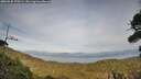 ./images/calvert/fitz-hugh-hecate/20260930/fitz-hugh-hecate20260930_170501M.jpg
