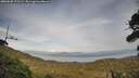 ./images/calvert/fitz-hugh-hecate/20260930/fitz-hugh-hecate20260930_171501M.jpg