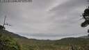 ./images/calvert/fitz-hugh-hecate/20261001/fitz-hugh-hecate20261001_140501M.jpg