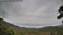 ./images/calvert/fitz-hugh-hecate/20261001/fitz-hugh-hecate20261001_141001M.jpg