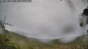 ./images/calvert/fitz-hugh-hecate/20261001/fitz-hugh-hecate20261001_151001M.jpg
