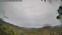 ./images/calvert/fitz-hugh-hecate/20261001/fitz-hugh-hecate20261001_162501M.jpg