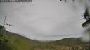 ./images/calvert/fitz-hugh-hecate/20261001/fitz-hugh-hecate20261001_163001M.jpg
