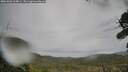 ./images/calvert/fitz-hugh-hecate/20261001/fitz-hugh-hecate20261001_164001M.jpg