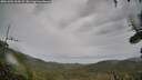 ./images/calvert/fitz-hugh-hecate/20261001/fitz-hugh-hecate20261001_164501M.jpg