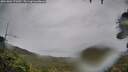 ./images/calvert/fitz-hugh-hecate/20261001/fitz-hugh-hecate20261001_172002M.jpg