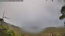 ./images/calvert/fitz-hugh-hecate/20261001/fitz-hugh-hecate20261001_181501M.jpg