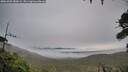 ./images/calvert/fitz-hugh-hecate/20261002/fitz-hugh-hecate20261002_080001M.jpg