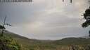 ./images/calvert/fitz-hugh-hecate/20261002/fitz-hugh-hecate20261002_085501M.jpg