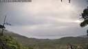 ./images/calvert/fitz-hugh-hecate/20261002/fitz-hugh-hecate20261002_090001M.jpg