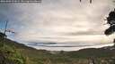 ./images/calvert/fitz-hugh-hecate/20261002/fitz-hugh-hecate20261002_093002M.jpg