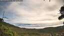 ./images/calvert/fitz-hugh-hecate/20261002/fitz-hugh-hecate20261002_093501M.jpg