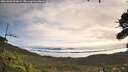 ./images/calvert/fitz-hugh-hecate/20261002/fitz-hugh-hecate20261002_094001M.jpg