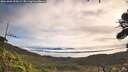 ./images/calvert/fitz-hugh-hecate/20261002/fitz-hugh-hecate20261002_094501M.jpg