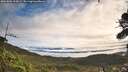 ./images/calvert/fitz-hugh-hecate/20261002/fitz-hugh-hecate20261002_095001M.jpg