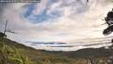 ./images/calvert/fitz-hugh-hecate/20261002/fitz-hugh-hecate20261002_095501M.jpg