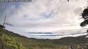 ./images/calvert/fitz-hugh-hecate/20261002/fitz-hugh-hecate20261002_100002M.jpg