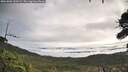 ./images/calvert/fitz-hugh-hecate/20261002/fitz-hugh-hecate20261002_100501M.jpg