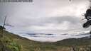 ./images/calvert/fitz-hugh-hecate/20261002/fitz-hugh-hecate20261002_102501M.jpg
