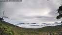 ./images/calvert/fitz-hugh-hecate/20261002/fitz-hugh-hecate20261002_103002M.jpg