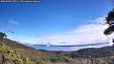 ./images/calvert/fitz-hugh-hecate/20261002/fitz-hugh-hecate20261002_115501M.jpg