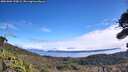 ./images/calvert/fitz-hugh-hecate/20261002/fitz-hugh-hecate20261002_120001M.jpg